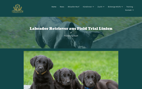 www.thunderingheart-labrador.at