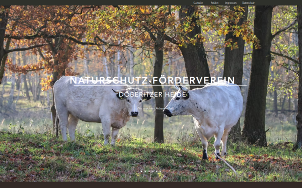 www.doeberitzerheide.de