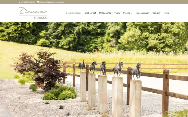 deuerer-horses.com