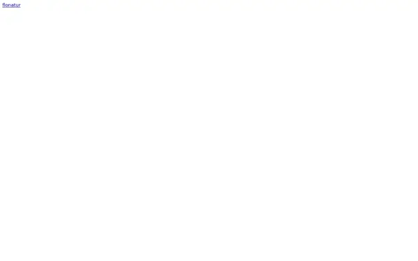 der-flo.de