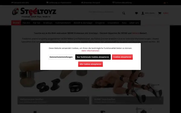 www.steeltoyz.de