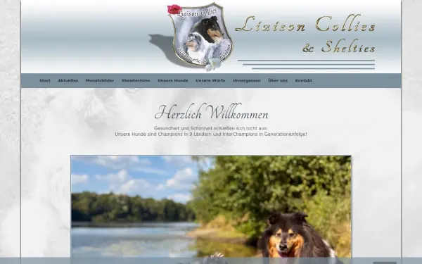 liaison-collies.de