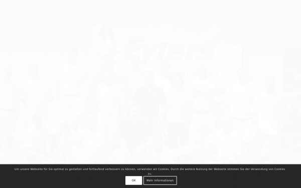 www.maler-eylers.de