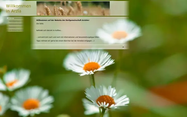 arzlohe.de
