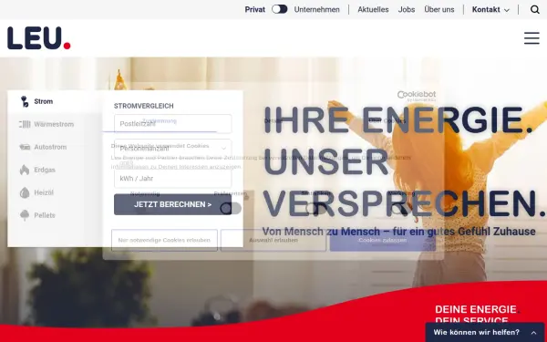 www.leu-energie.de