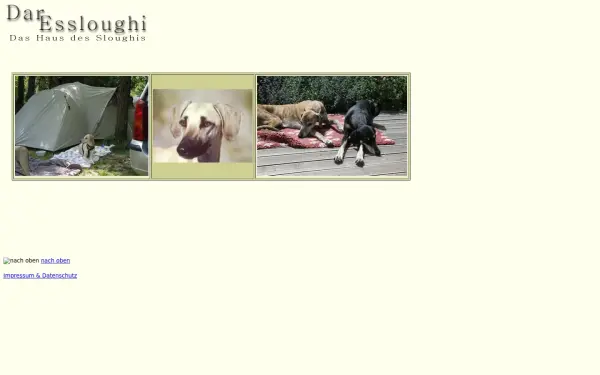 dar-essloughi.de