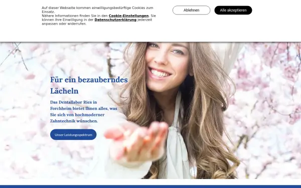 www.dental-labor-ries.de