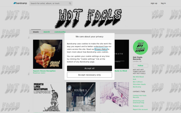 hotfoolsrecords.bandcamp.com