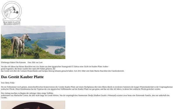 kauberplatte.de