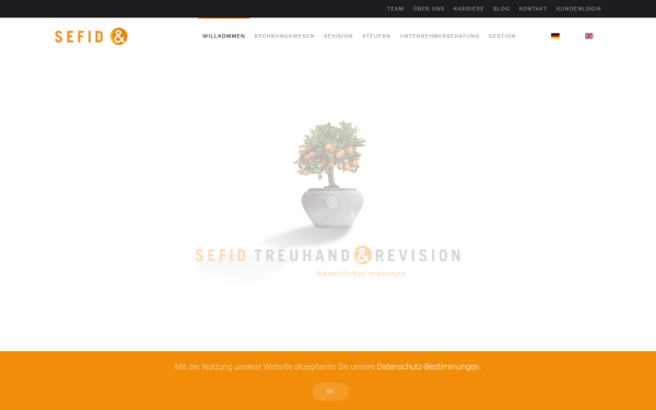 revisionsstelle.biz