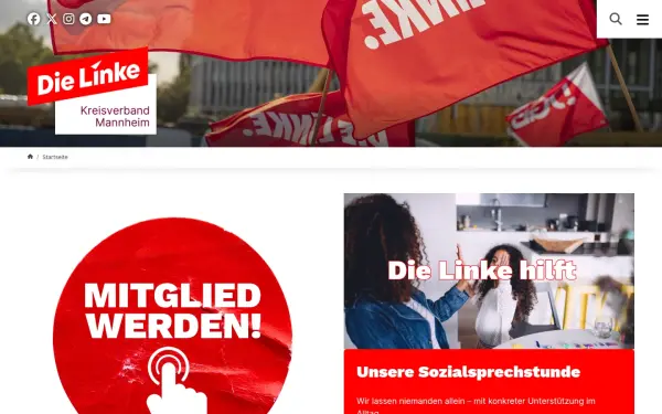 www.dielinke-ma.de