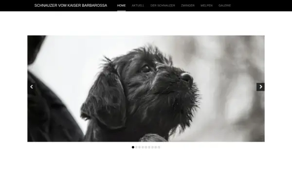barbarossa-schnauzer.de