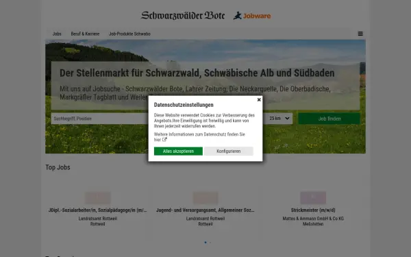 stellenmarkt.schwarzwaelder-bote.de