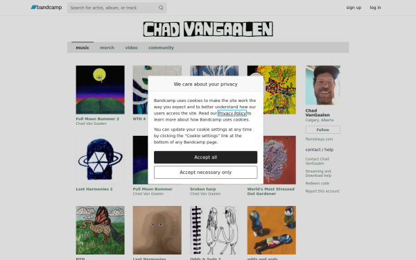 chadvangaalen.bandcamp.com