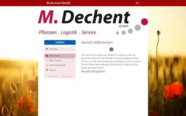 m-dechent.de