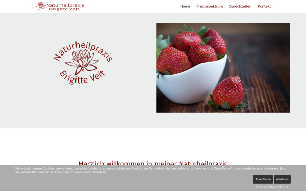 naturheilpraxis-veit.de