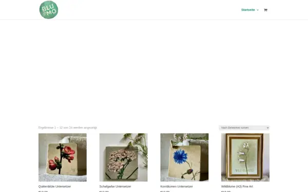 www.bluomo.de