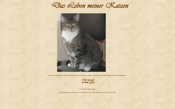 daslebenmeinerkatzen.de
