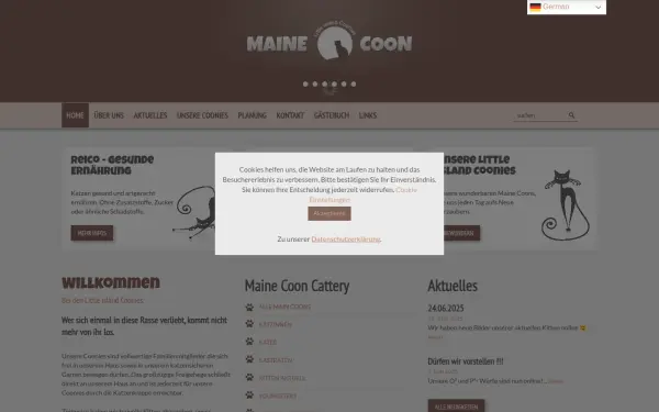 www.little-island-coonies.de