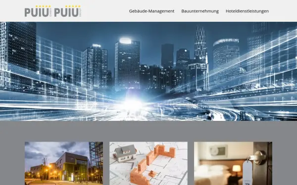 puiugroup.com