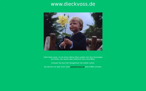 dieckvoss.de