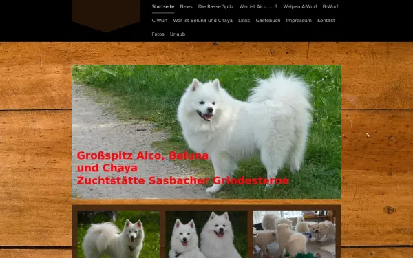 www.grossspitz-aico.de