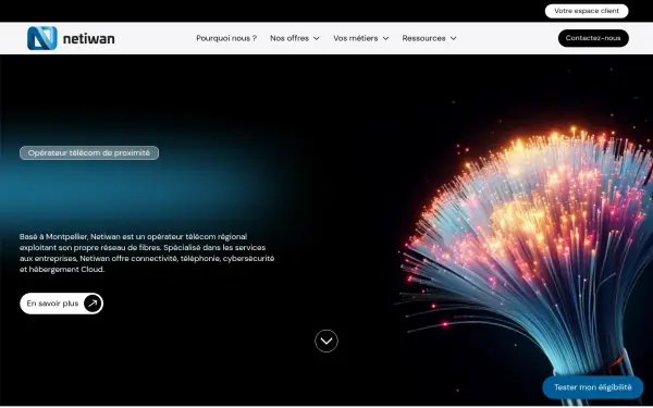 www.netiwan.fr