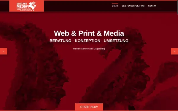 publicity-magdeburg.de