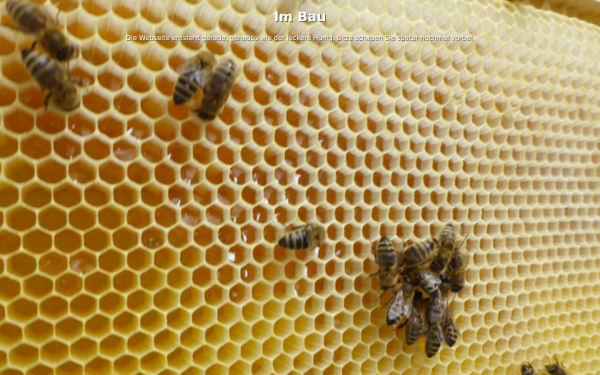 bienen.airforce