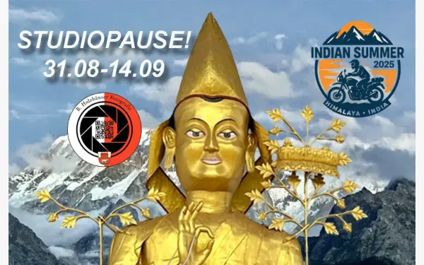 holzhaeuser-freiendiez.de