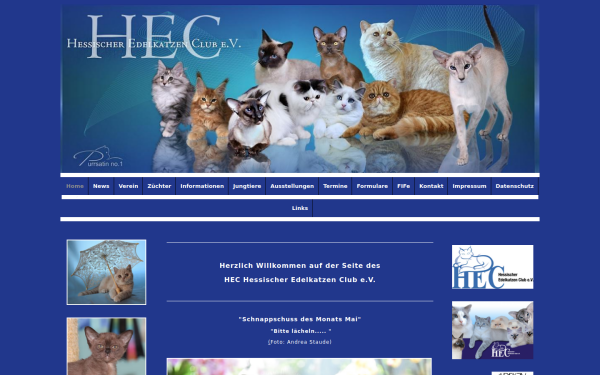 www.hec-edelkatzen.de