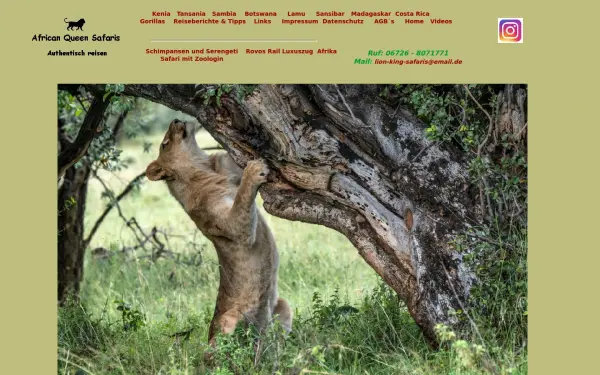 lionkingsafaris.de
