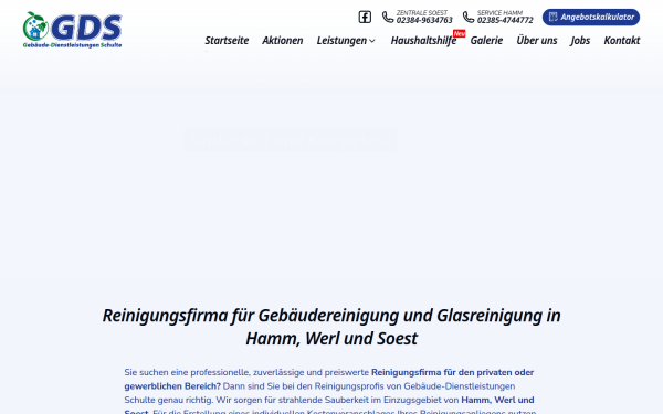 www.reinigungsfirma-gds.de
