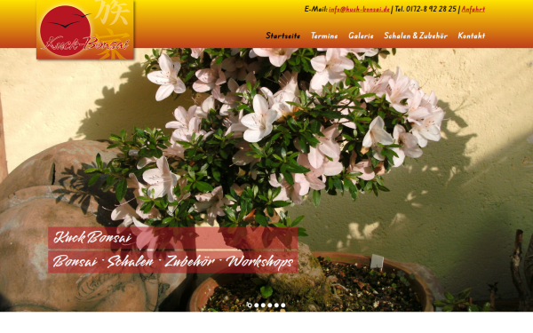 www.kuck-bonsai.de