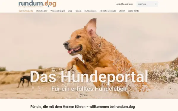 rundum.dog