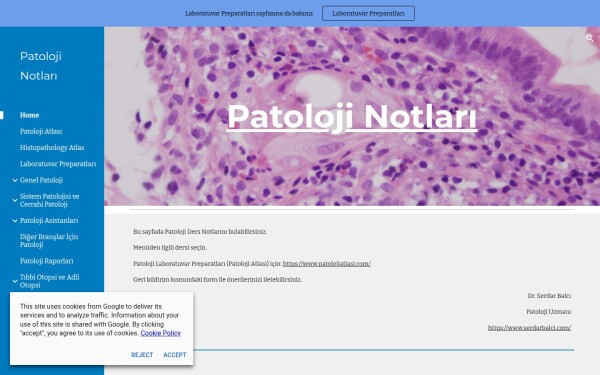 www.patolojinotlari.com