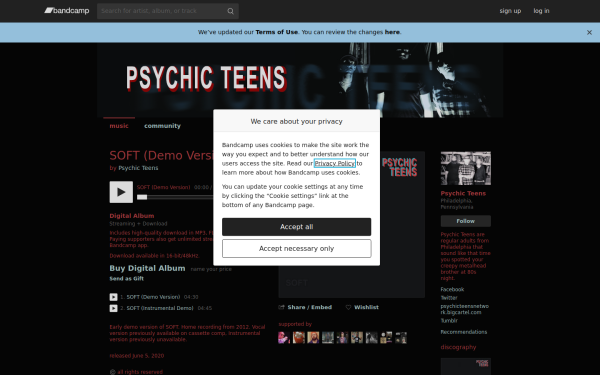 psychicteensnetwork.com