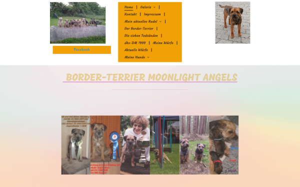 www.moonlight-angels.de
