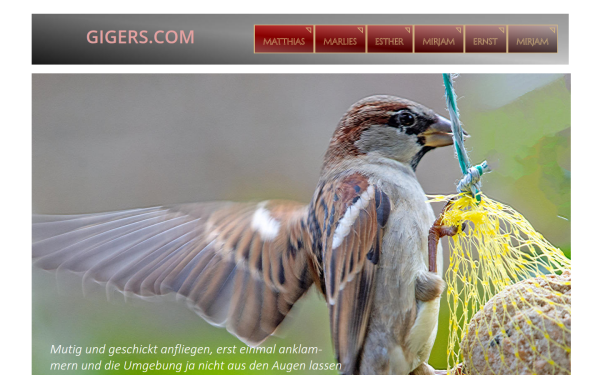 gigers.com