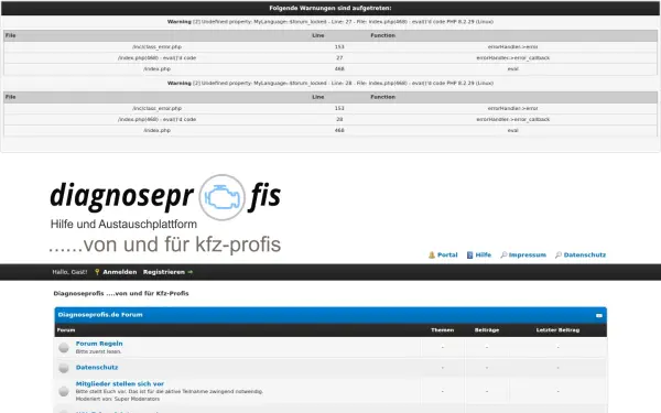 diagnoseprofis.de