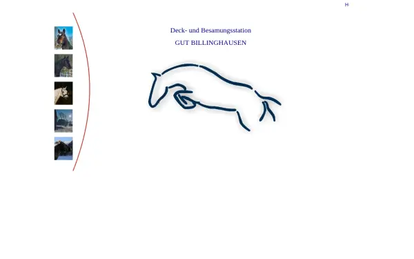 gut-billinghausen.de