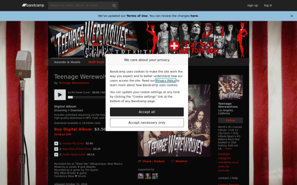 teenagewerewolves.bandcamp.com