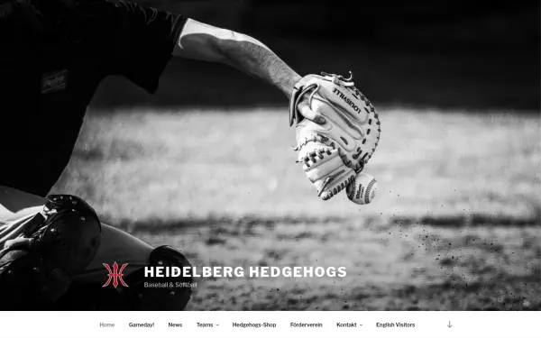 heidelberg-hedgehogs.de