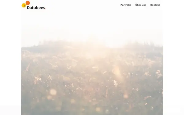www.databees.de