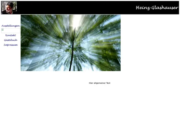 heinz-glashauser.de