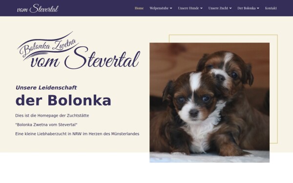 www.bolonka-vom-stevertal.de