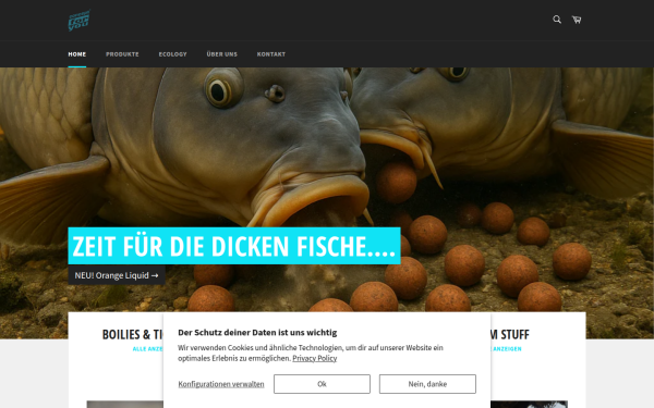 concept-for-you.com