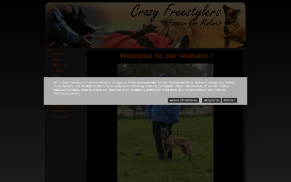 crazy-freestylers.de