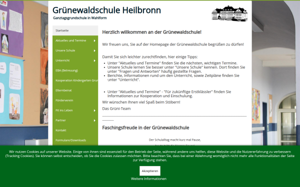 gruenewaldschule-hn.de