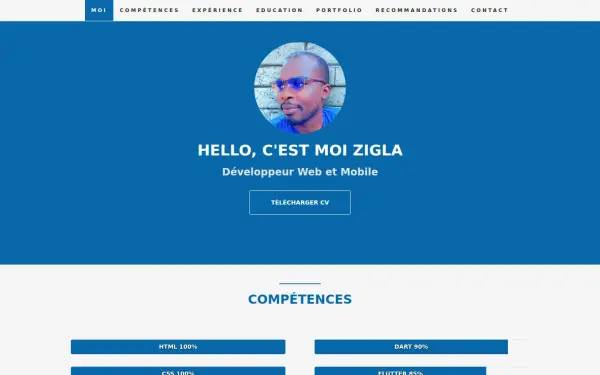 ziglaaboubakar.com